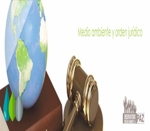 Medio ambiente y orden jurídico